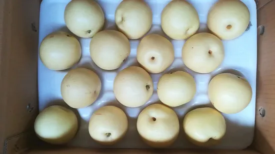 10kg 13.5kg Carton Fresh Juicy Gong Pears